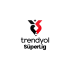 Turkish League Badge